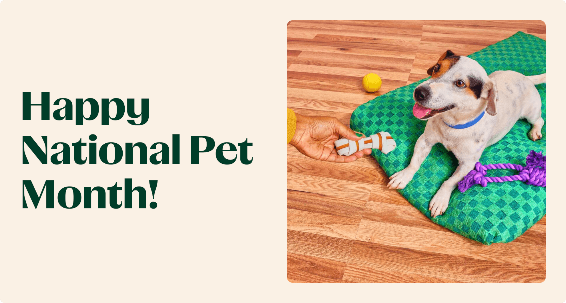 Instacart Celebrates National Pet Month