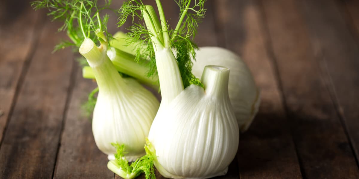 cut-fennel-1