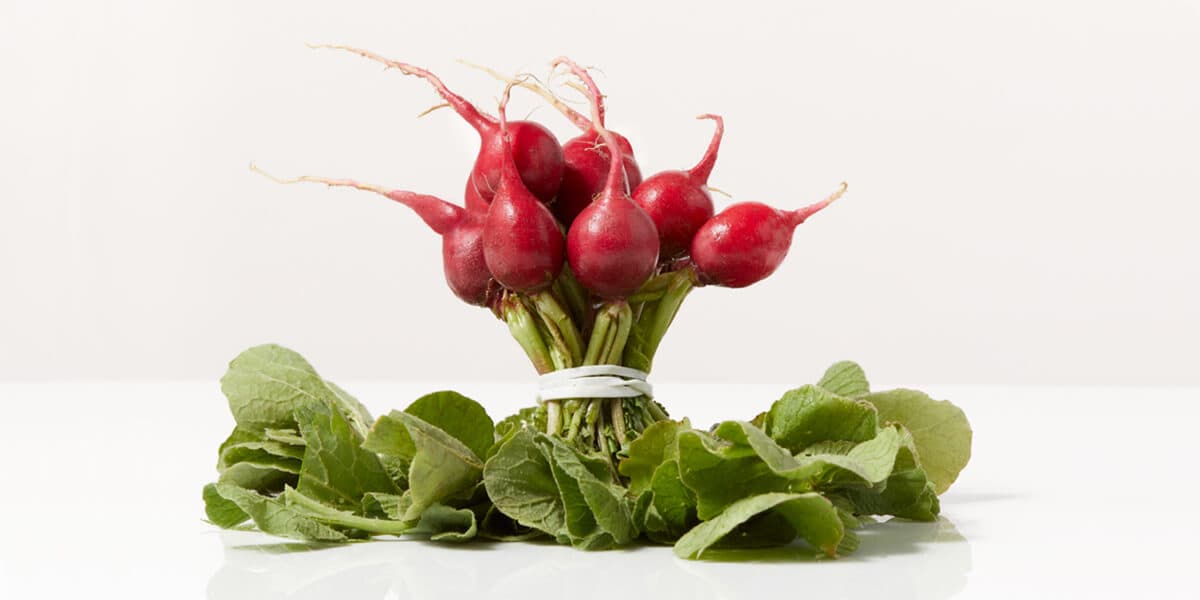 Radishes