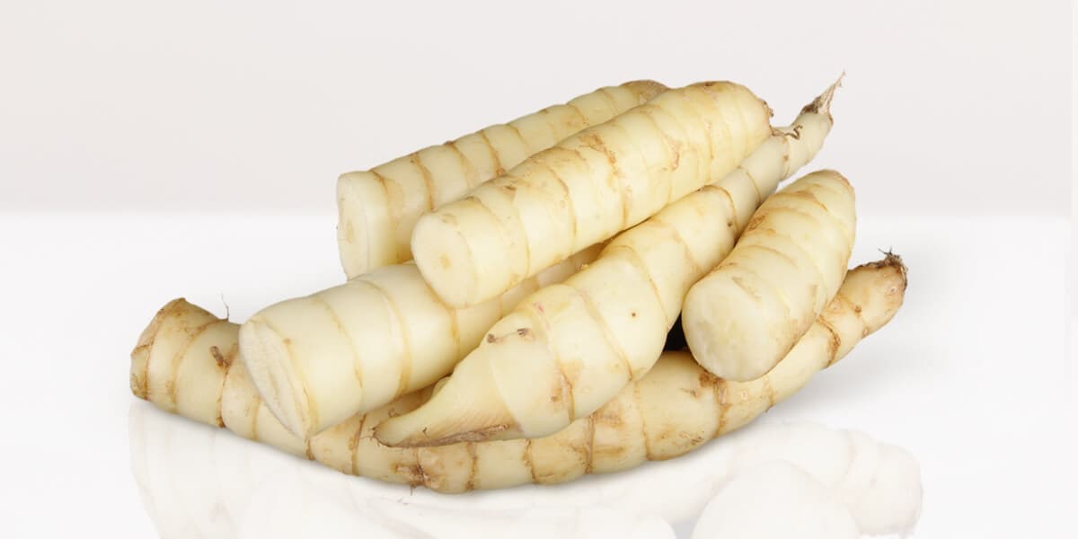Arrowroot
