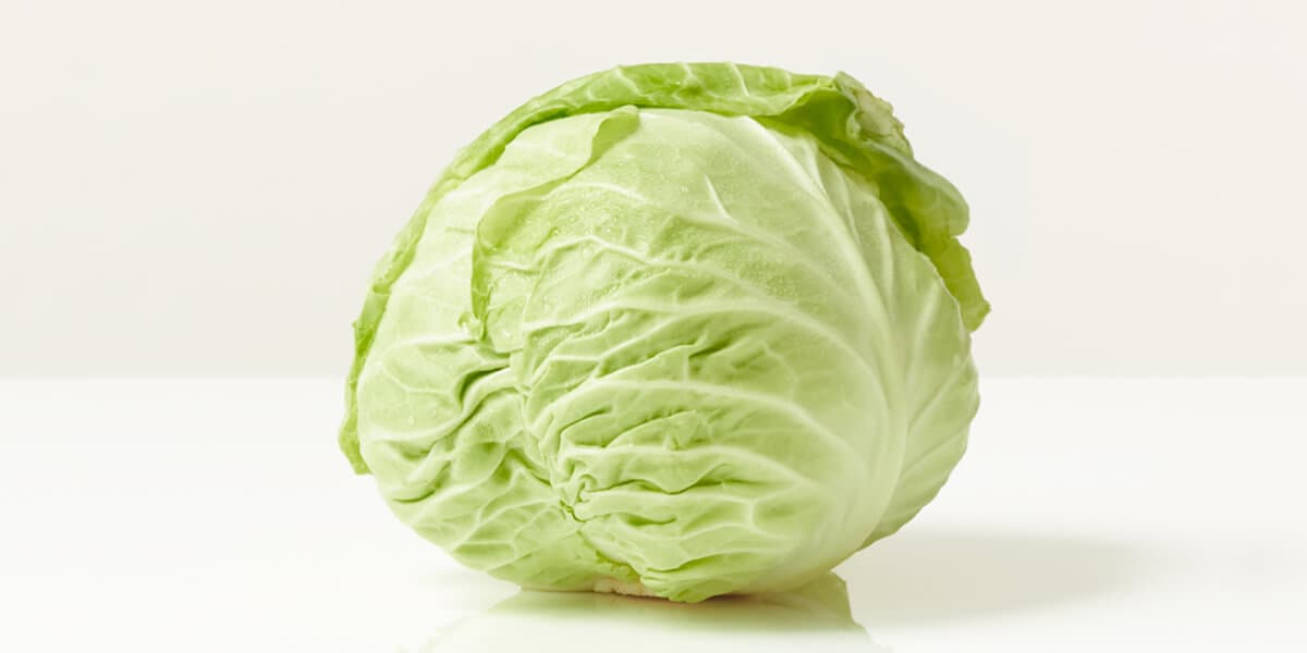 Cabbage