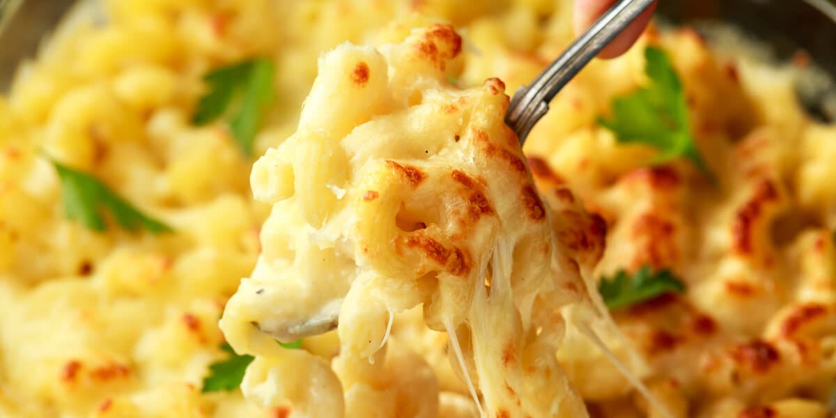 macaroni pasta and cheese bake